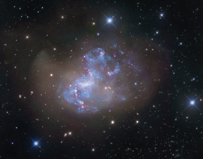 NGC 1313
